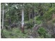 L179 Kilcoy Lane, Conondale QLD 4552