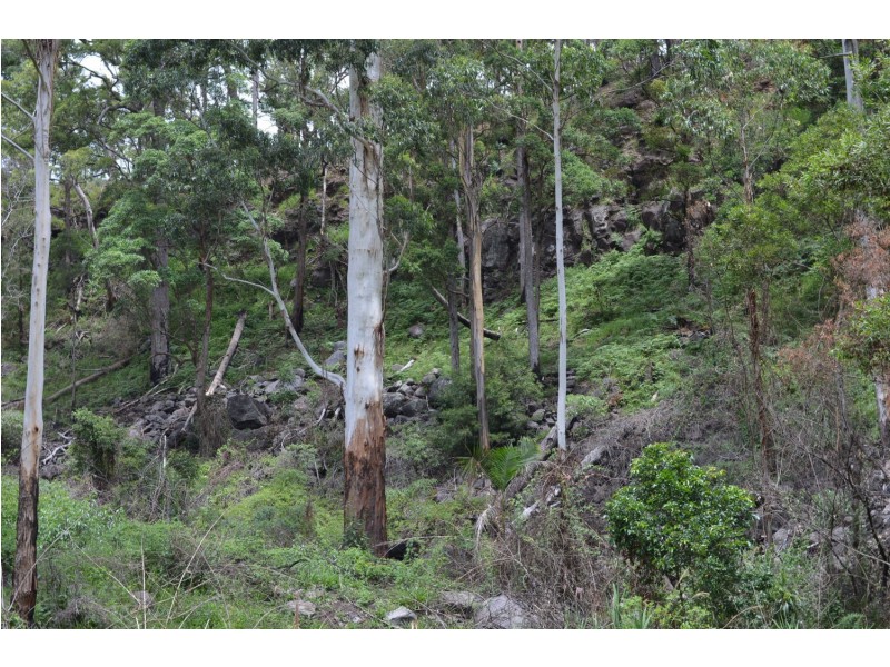 L179 Kilcoy Lane, Conondale QLD 4552