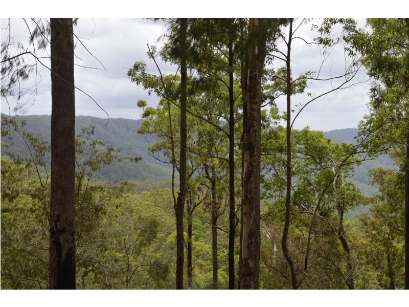 L179 Kilcoy Lane, Conondale QLD 4552