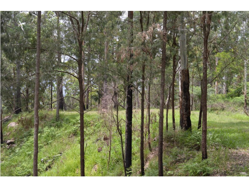 L179 Kilcoy Lane, Conondale QLD 4552