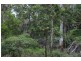 L179 Kilcoy Lane, Conondale QLD 4552