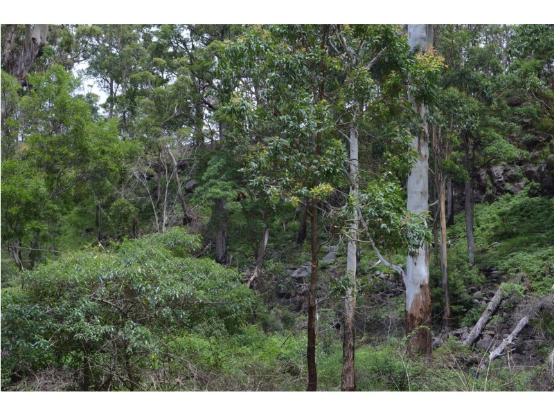 L179 Kilcoy Lane, Conondale QLD 4552