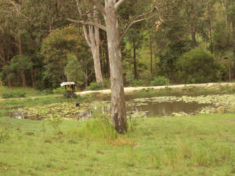 489 Mt Mee Rd, Delaneys Creek QLD 4514