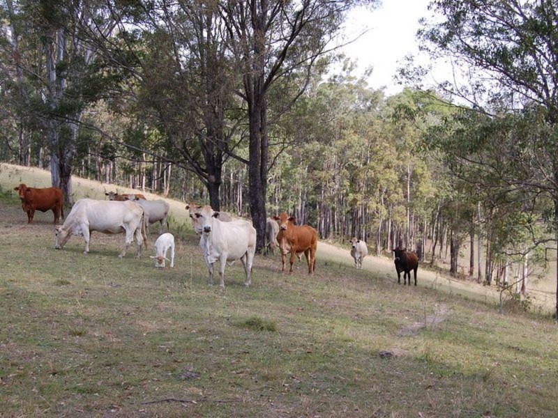 489 Mt Mee Rd, Delaneys Creek QLD 4514