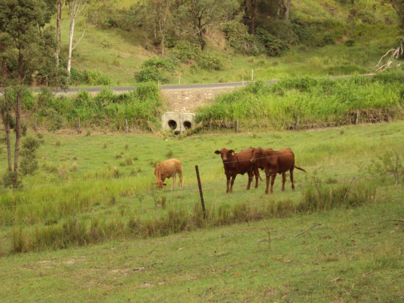 489 Mt Mee Rd, Delaneys Creek QLD 4514