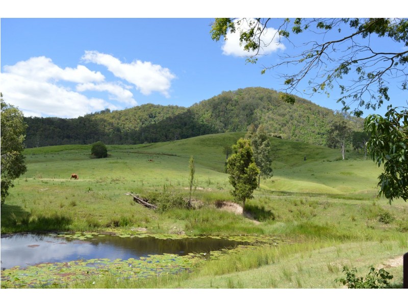 460 Eastern Mary River Road, Conondale QLD 4552