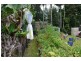 36 Centenary Drive, Maleny QLD 4552
