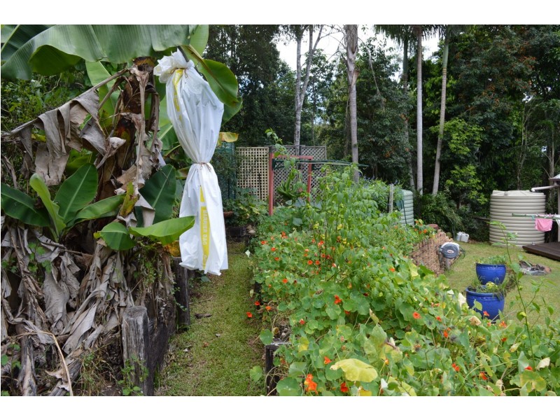 36 Centenary Drive, Maleny QLD 4552