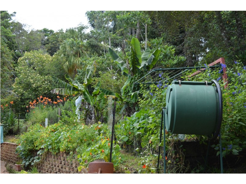 36 Centenary Drive, Maleny QLD 4552