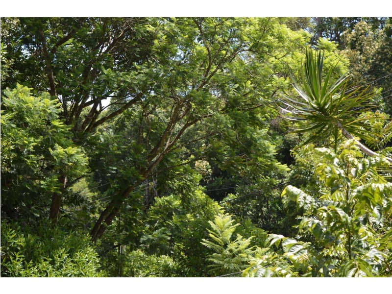 36 Centenary Drive, Maleny QLD 4552