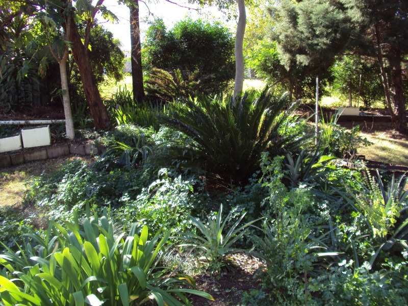 100 Seib Street, Kilcoy QLD 4515