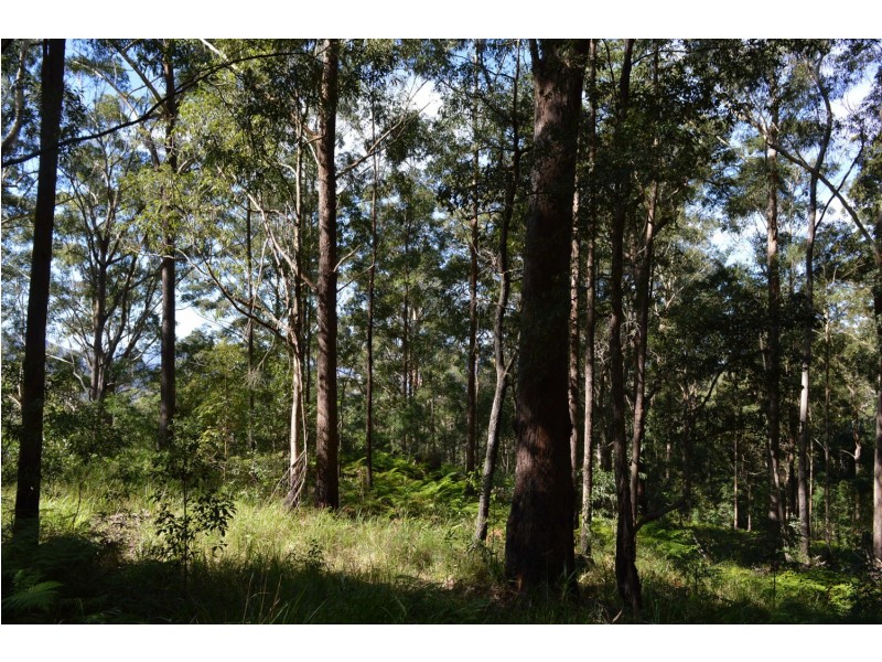lot 5 Bellthorpe Range Rd, Bellthorpe QLD 4514