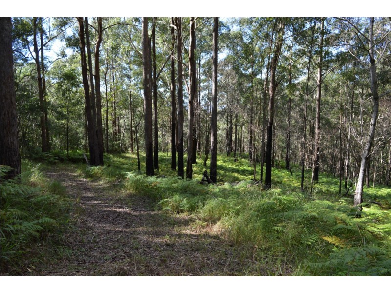 lot 5 Bellthorpe Range Rd, Bellthorpe QLD 4514