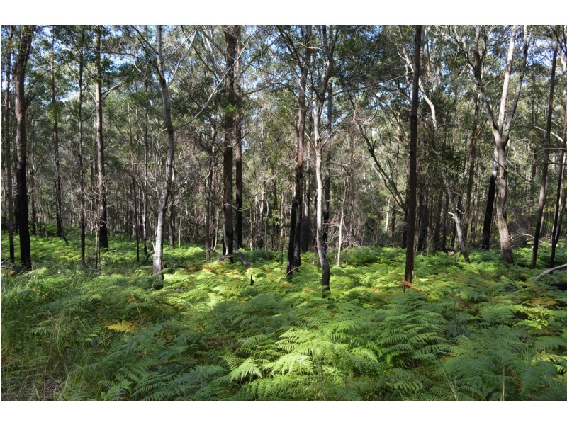 lot 5 Bellthorpe Range Rd, Bellthorpe QLD 4514