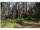 lot 5 Bellthorpe Range Rd, Bellthorpe QLD 4514