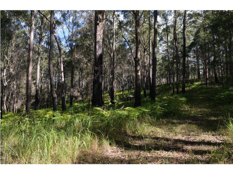 lot 5 Bellthorpe Range Rd, Bellthorpe QLD 4514