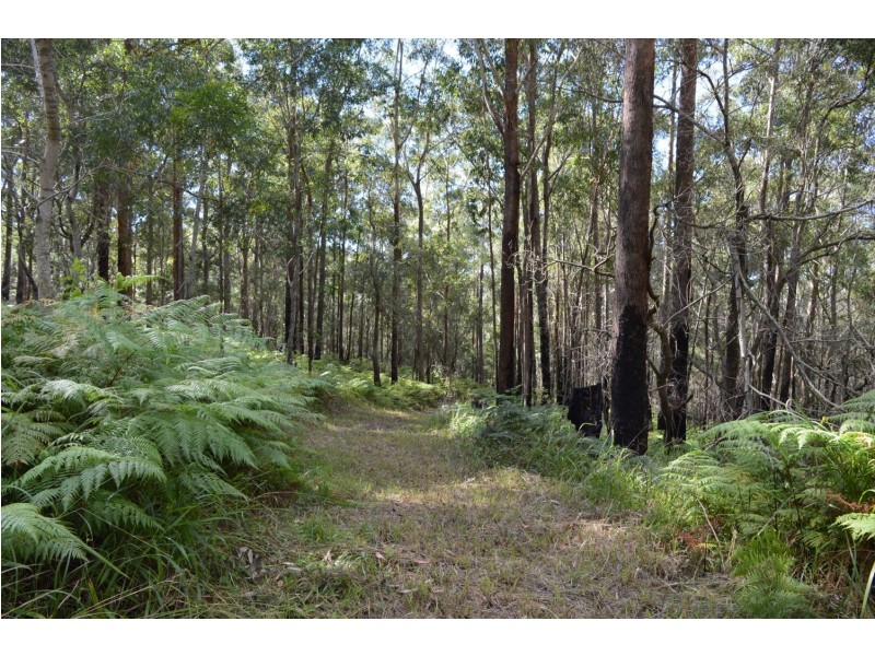 lot 5 Bellthorpe Range Rd, Bellthorpe QLD 4514