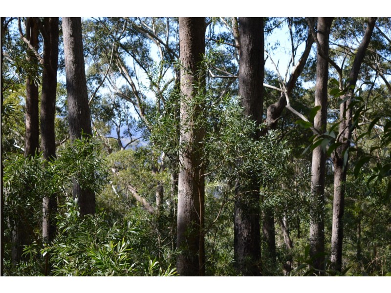 lot 5 Bellthorpe Range Rd, Bellthorpe QLD 4514
