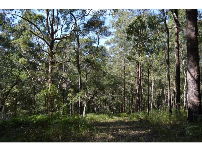 lot 5 Bellthorpe Range Rd, Bellthorpe QLD 4514