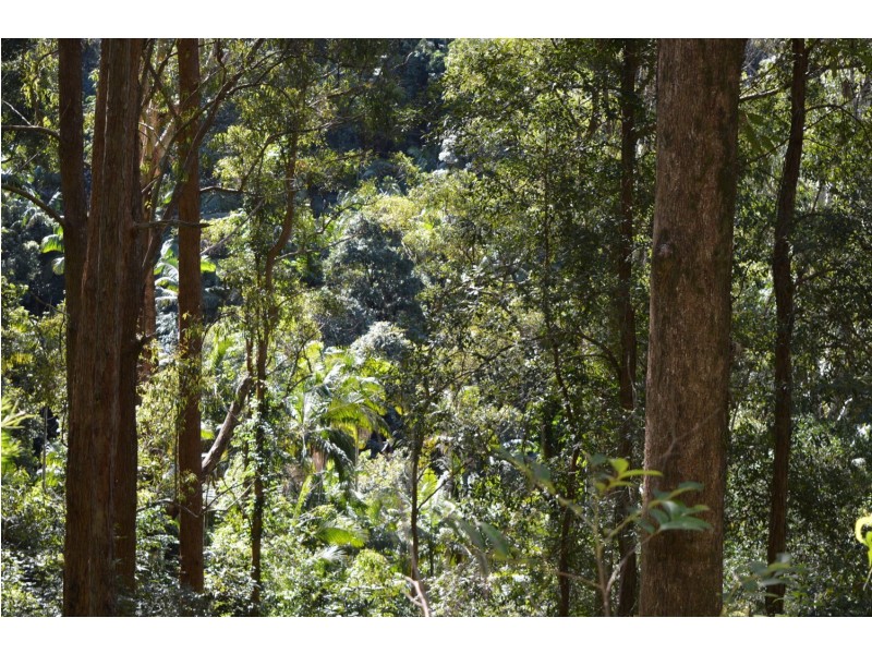 lot 5 Bellthorpe Range Rd, Bellthorpe QLD 4514