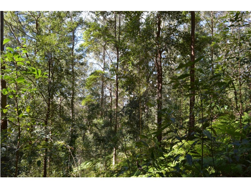 lot 5 Bellthorpe Range Rd, Bellthorpe QLD 4514