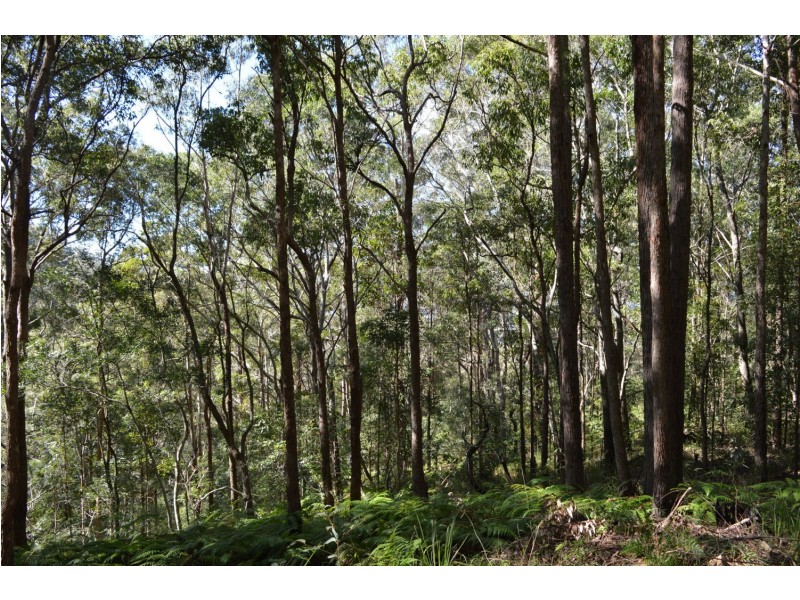 lot 5 Bellthorpe Range Rd, Bellthorpe QLD 4514