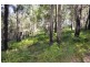 lot 5 Bellthorpe Range Rd, Bellthorpe QLD 4514