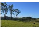 Bald Knob QLD 4552
