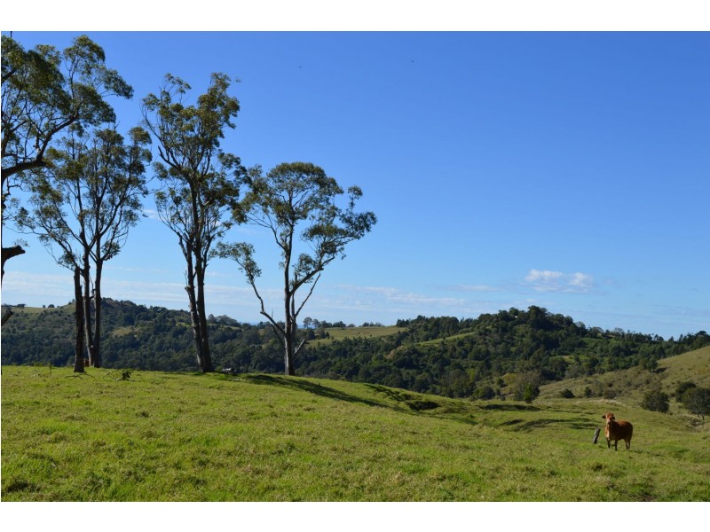 Bald Knob QLD 4552