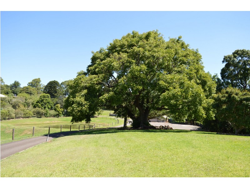 115 Burgum road, Maleny QLD 4552