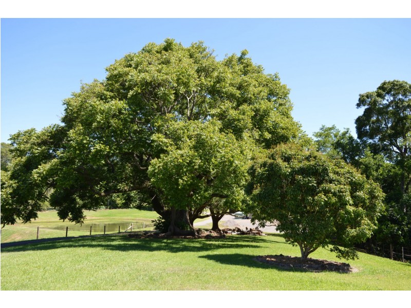 115 Burgum road, Maleny QLD 4552