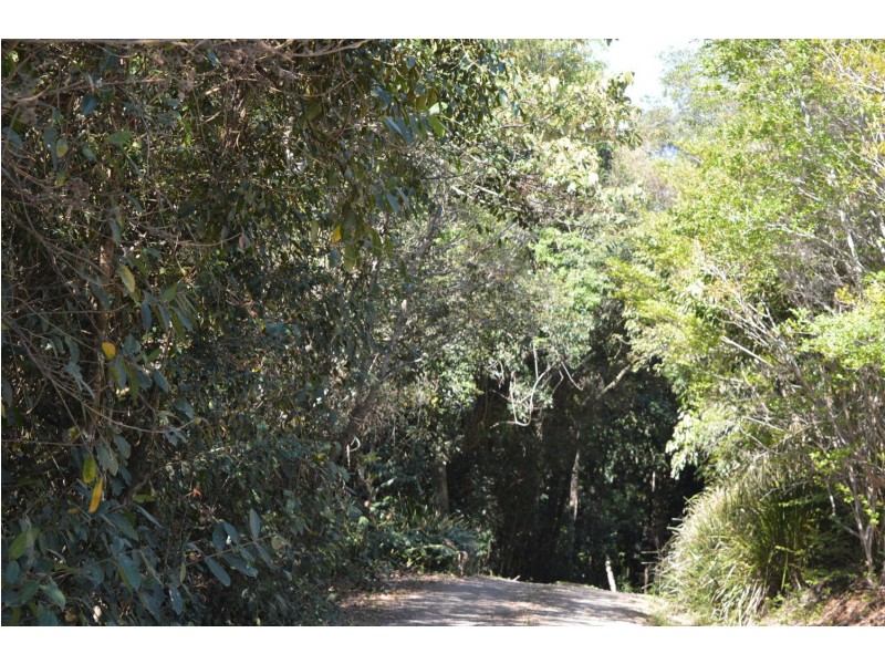 16 Lower Trail Road, Maleny QLD 4552