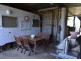 127 Appalossa Drive, Conondale QLD 4552