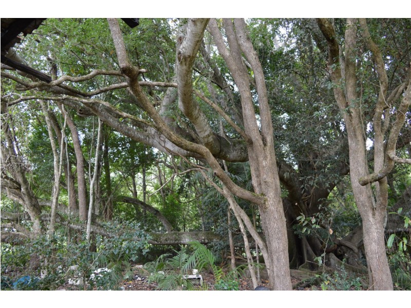 Lot 2 Maleny-Kenilworth Road, Maleny QLD 4552