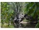 Sandy Creek QLD 4515
