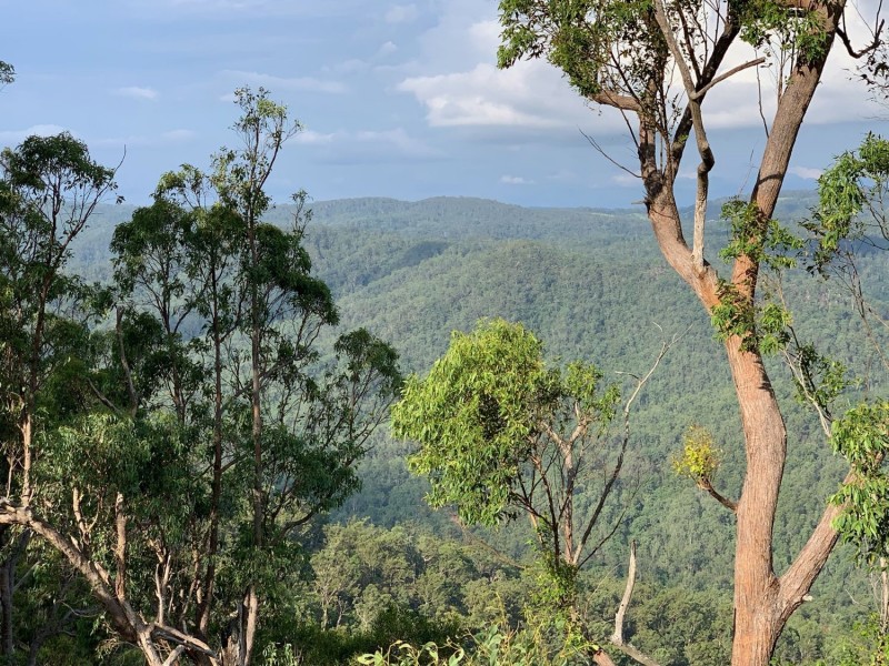 Sandy Creek QLD 4515