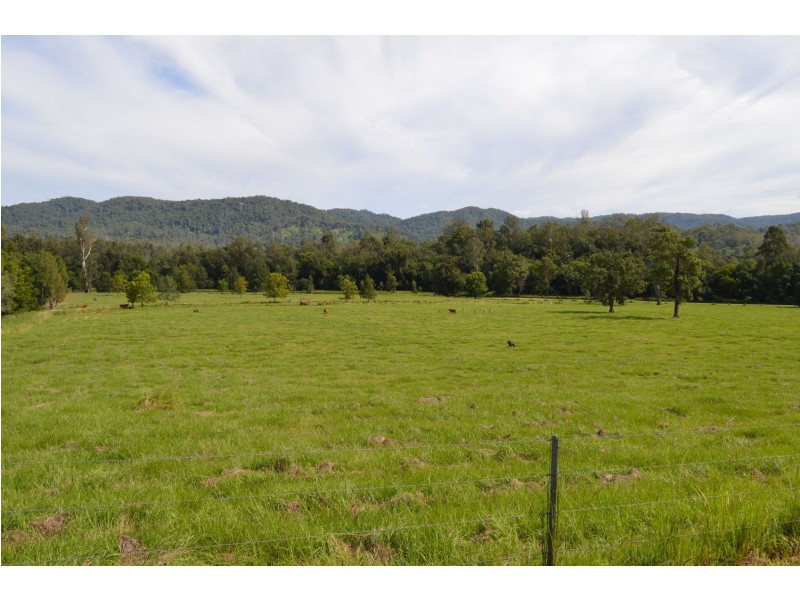 Conondale QLD 4552