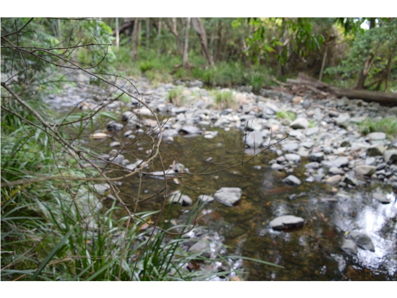 Conondale QLD 4552