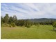 Conondale QLD 4552