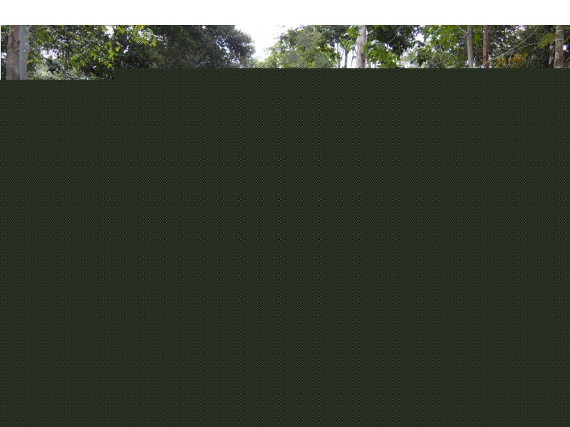 Conondale QLD 4552