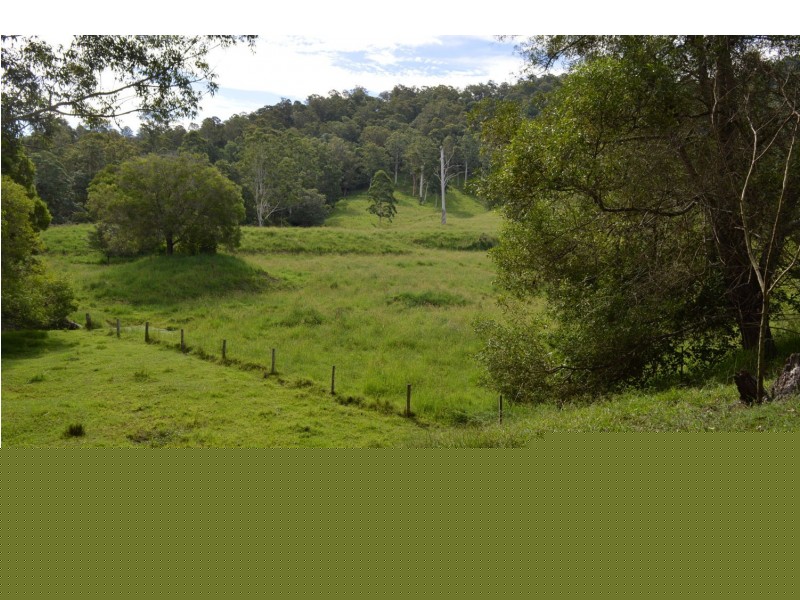 Conondale QLD 4552