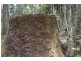 Conondale QLD 4552
