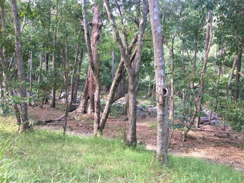 Sandy Creek QLD 4515