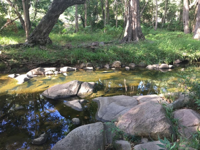 Sandy Creek QLD 4515
