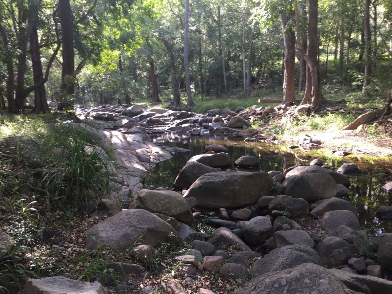 Sandy Creek QLD 4515