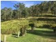 Sandy Creek QLD 4515