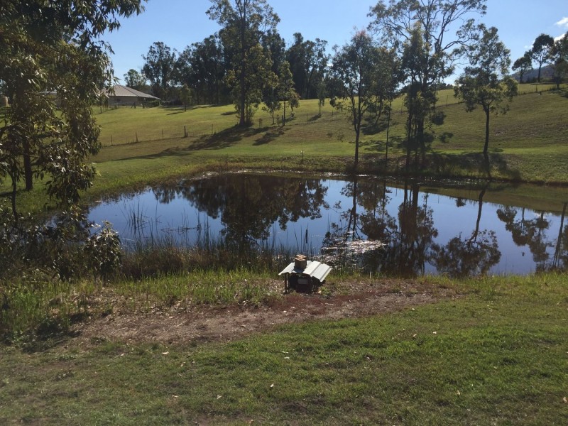 54 Park Drive, Sandy Creek QLD 4515