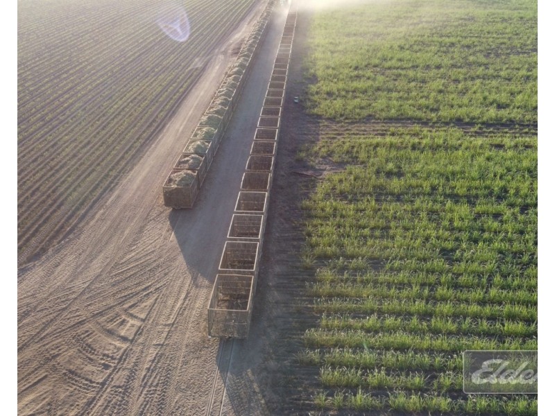 Lot 1 Formosa Road, Silkwood QLD 4856