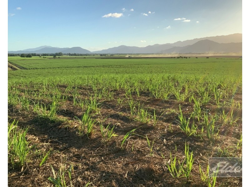 Lot 1 Formosa Road, Silkwood QLD 4856