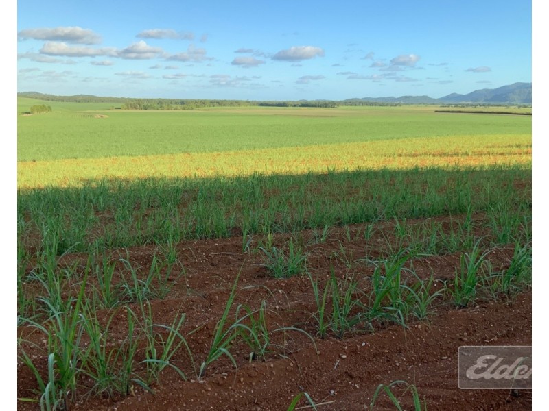 Lot 1 Formosa Road, Silkwood QLD 4856